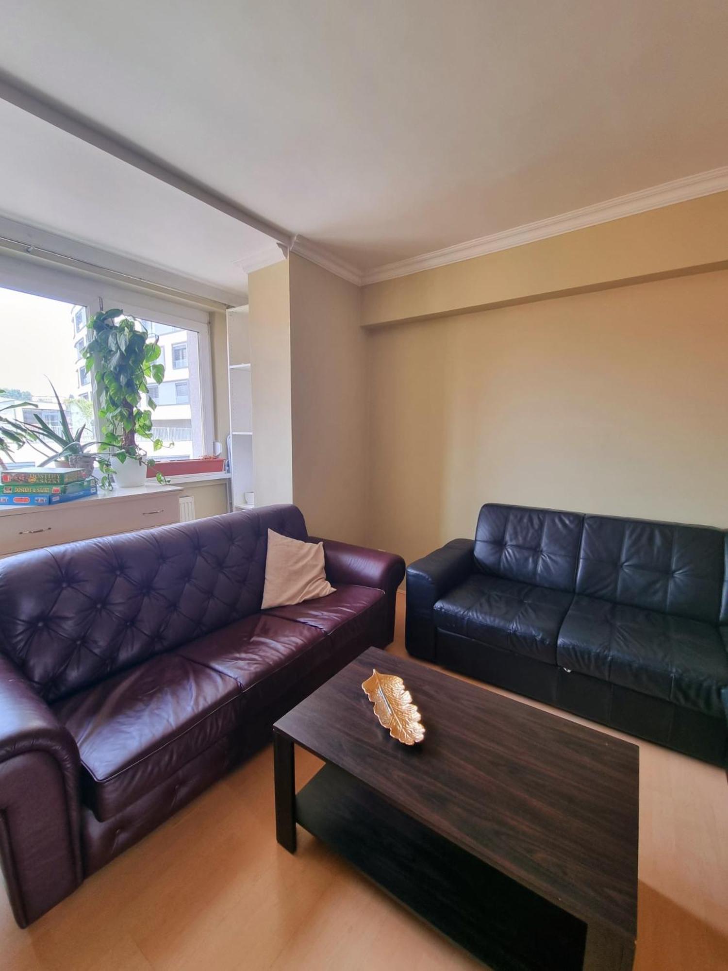 Big 4 Room Huge Apartment 브라티슬라바 외부 사진